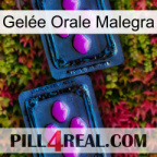 Gelée Orale Malegra 03